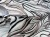IMG_2748.jpeg