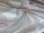 IMG_2728.jpeg