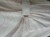 IMG_2730.jpeg