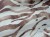 IMG_3888.jpeg